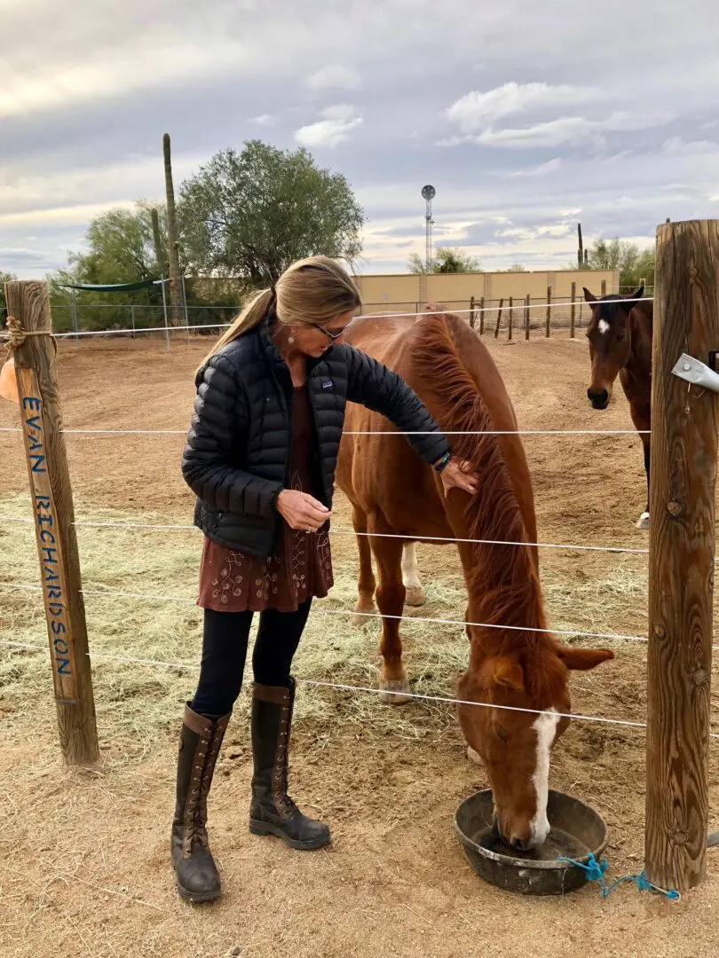 A Horse Eating, A Trainer Caressing