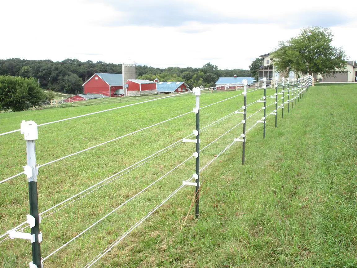 White Fence Heads, Stable Home, Kunze