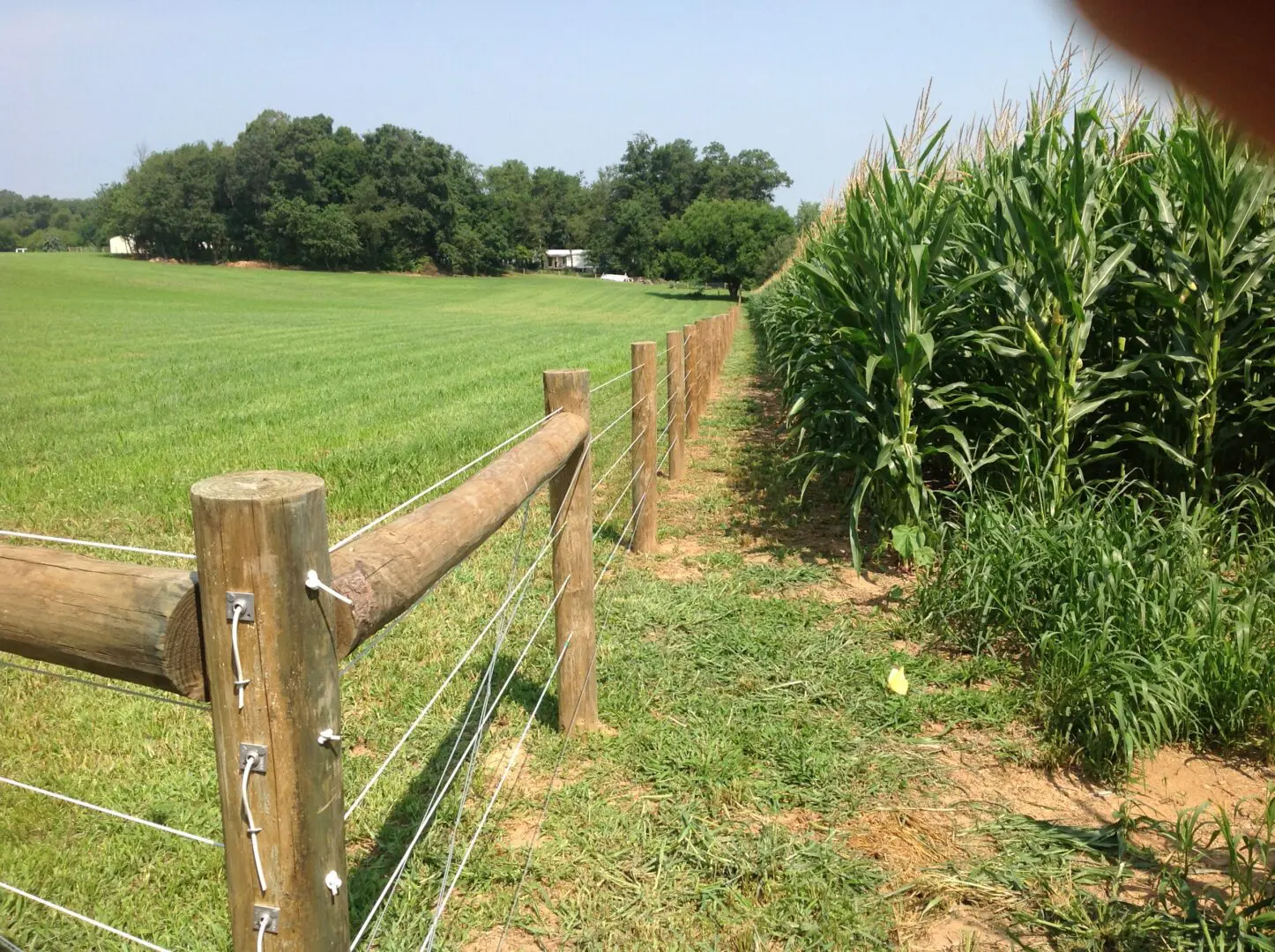 Fence, Field and Ground