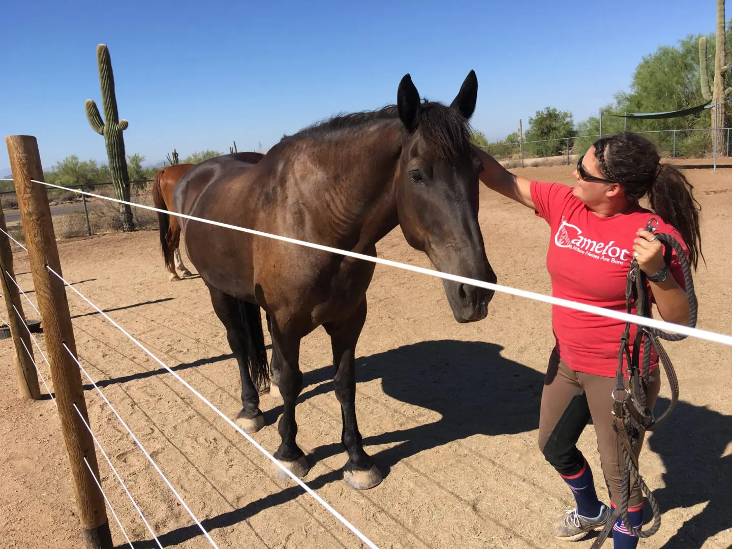 A Horse Trainer with Horse inside Fence