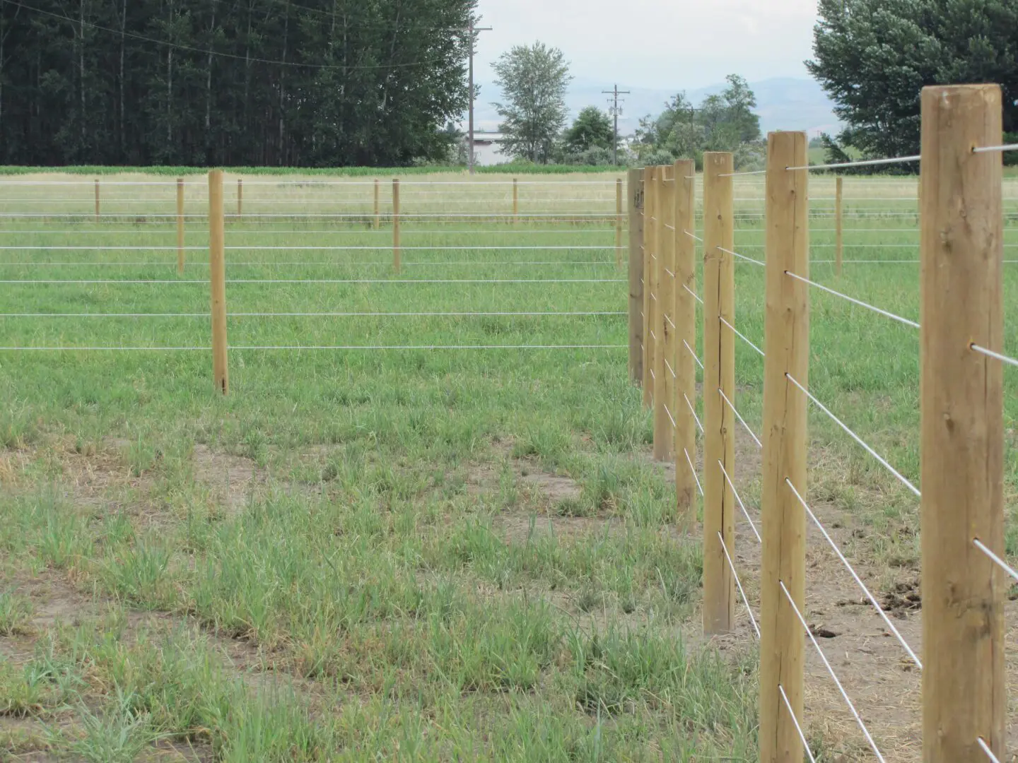 Multiple Fence Separated with Dividers