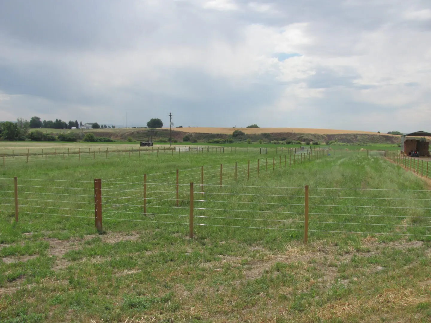 Long Shot Image of Multiple Fence and High Ground