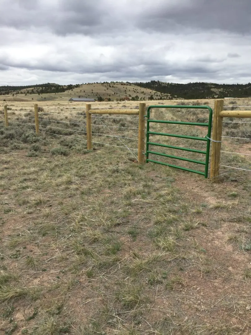 Green Colored Gate and Fencing for Horses