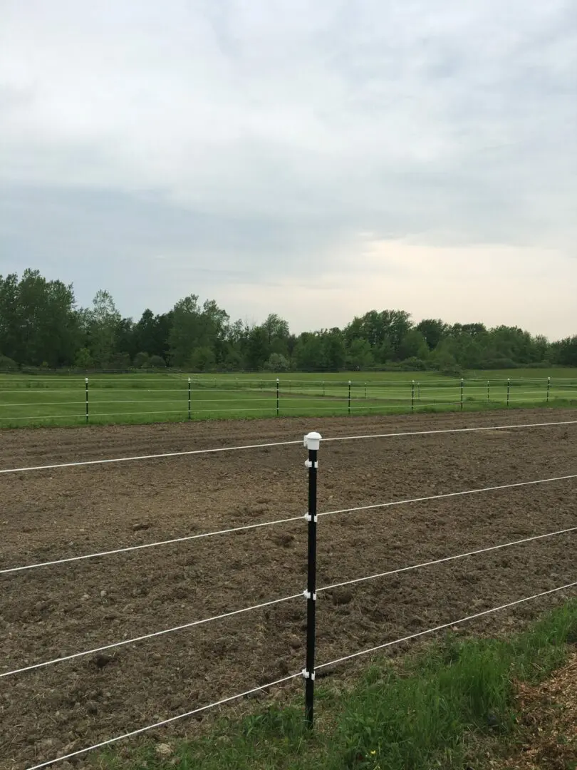 Perimeter Fencing for Horses