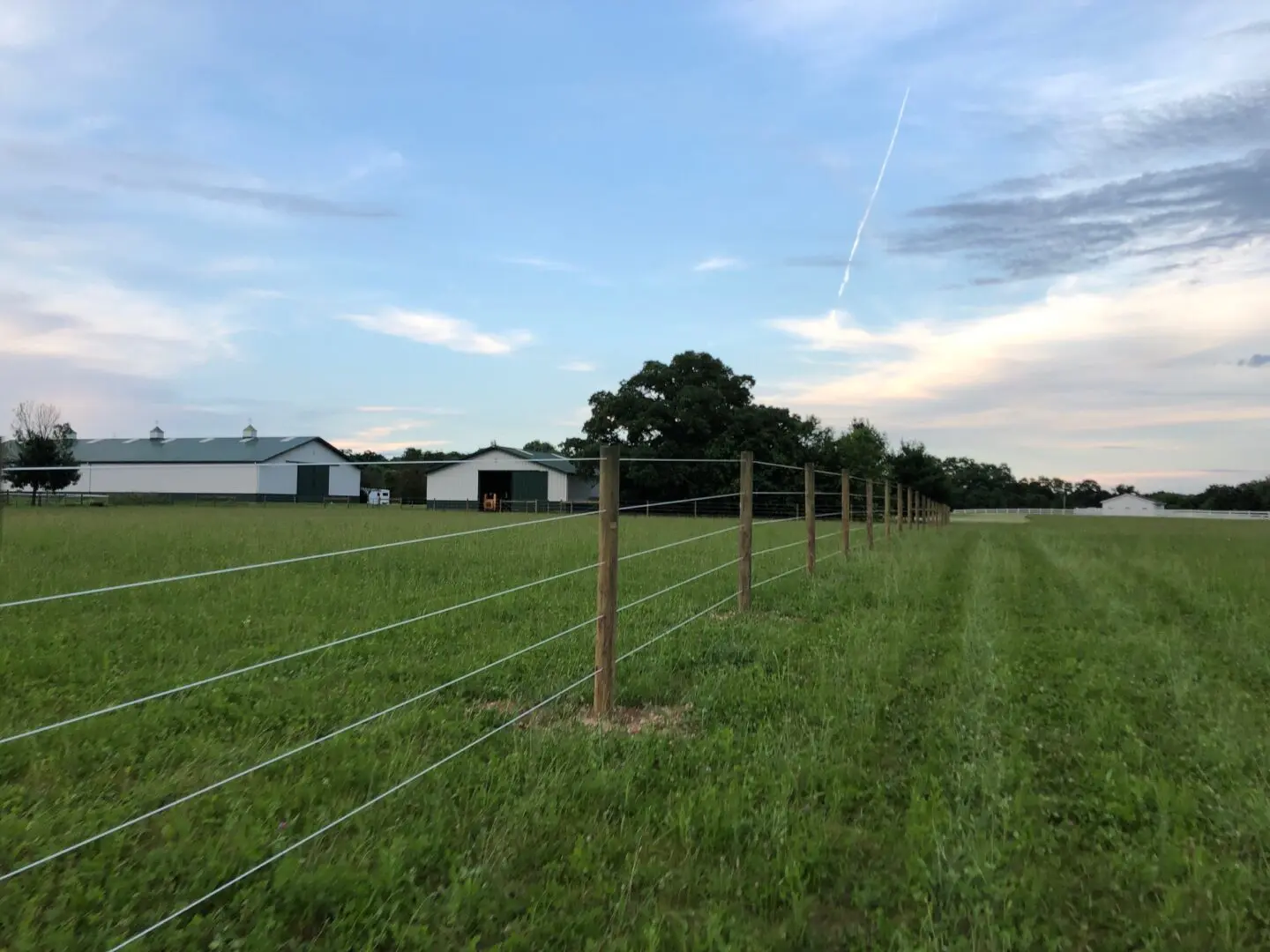 Green and White Stable for Horses