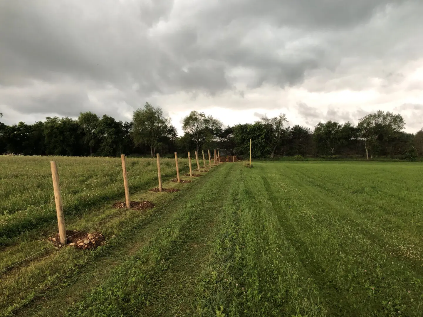 Dark Clouds Over Fenced Ground