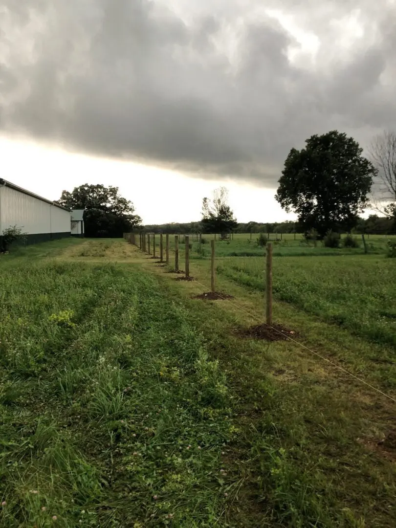 Fence with Trees and Stable Inside