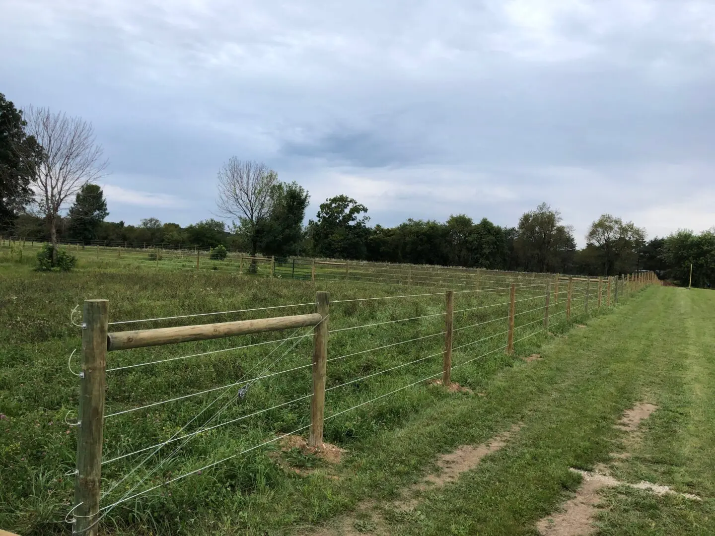 Fence Made of Wood and Wire, Path Outside