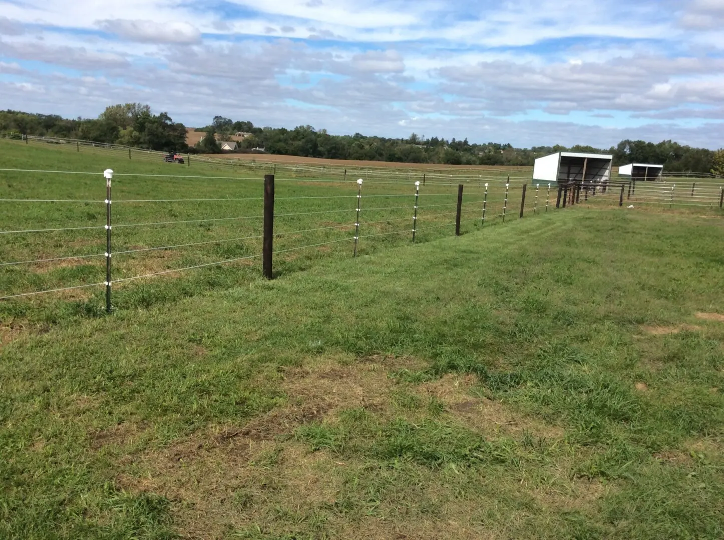 Grassland Under and Outside Fence