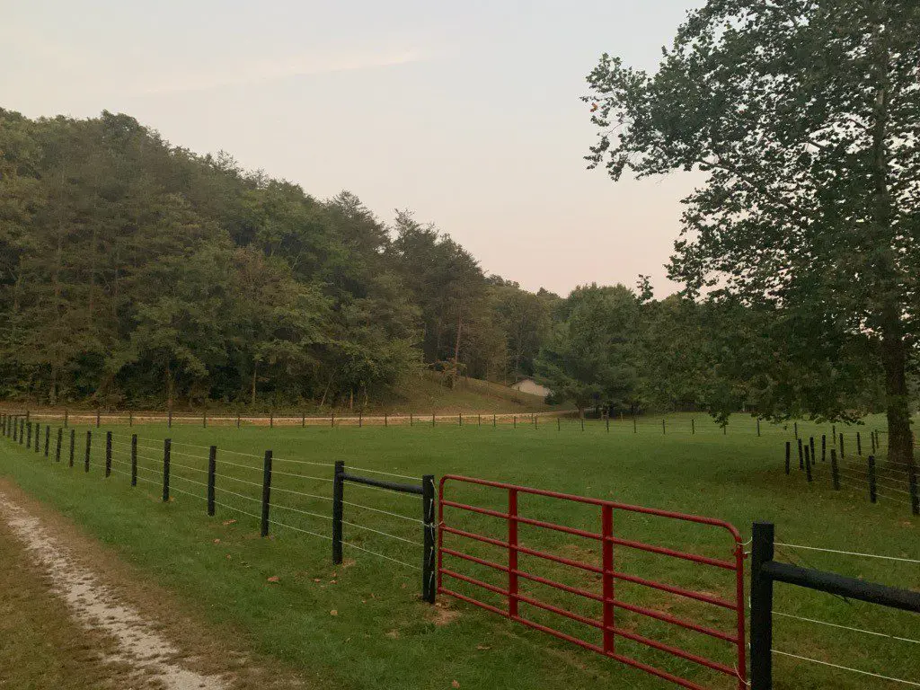 Fencing for Horses, Dense Vegetation Outside