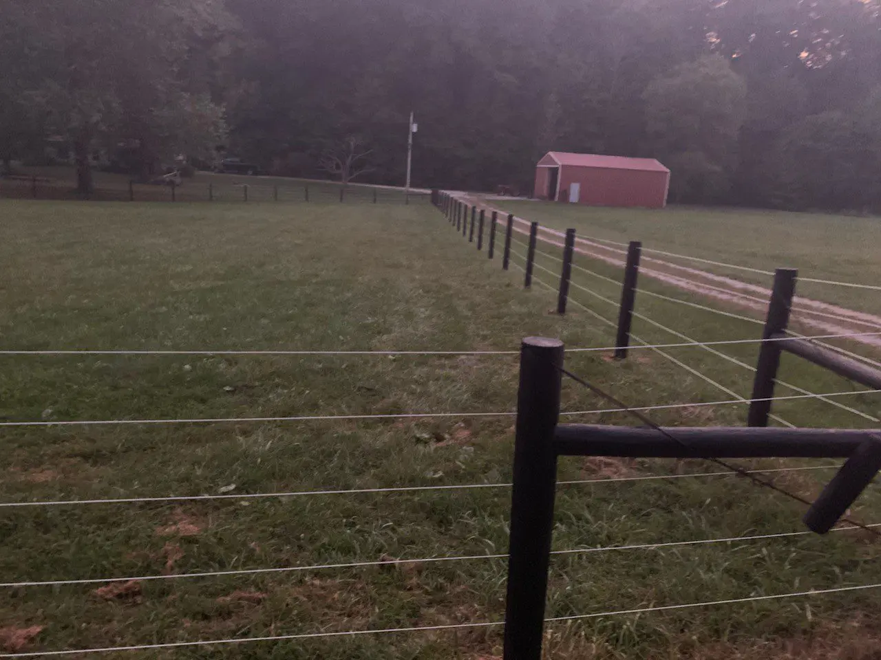 Dense Vegetation, Stable and Fence