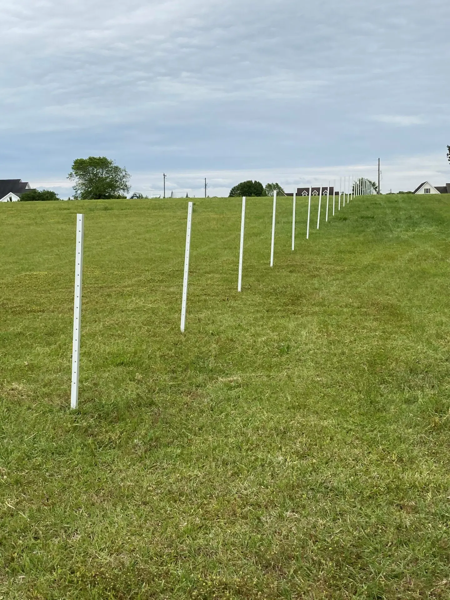 White Fencing Poles without Wires