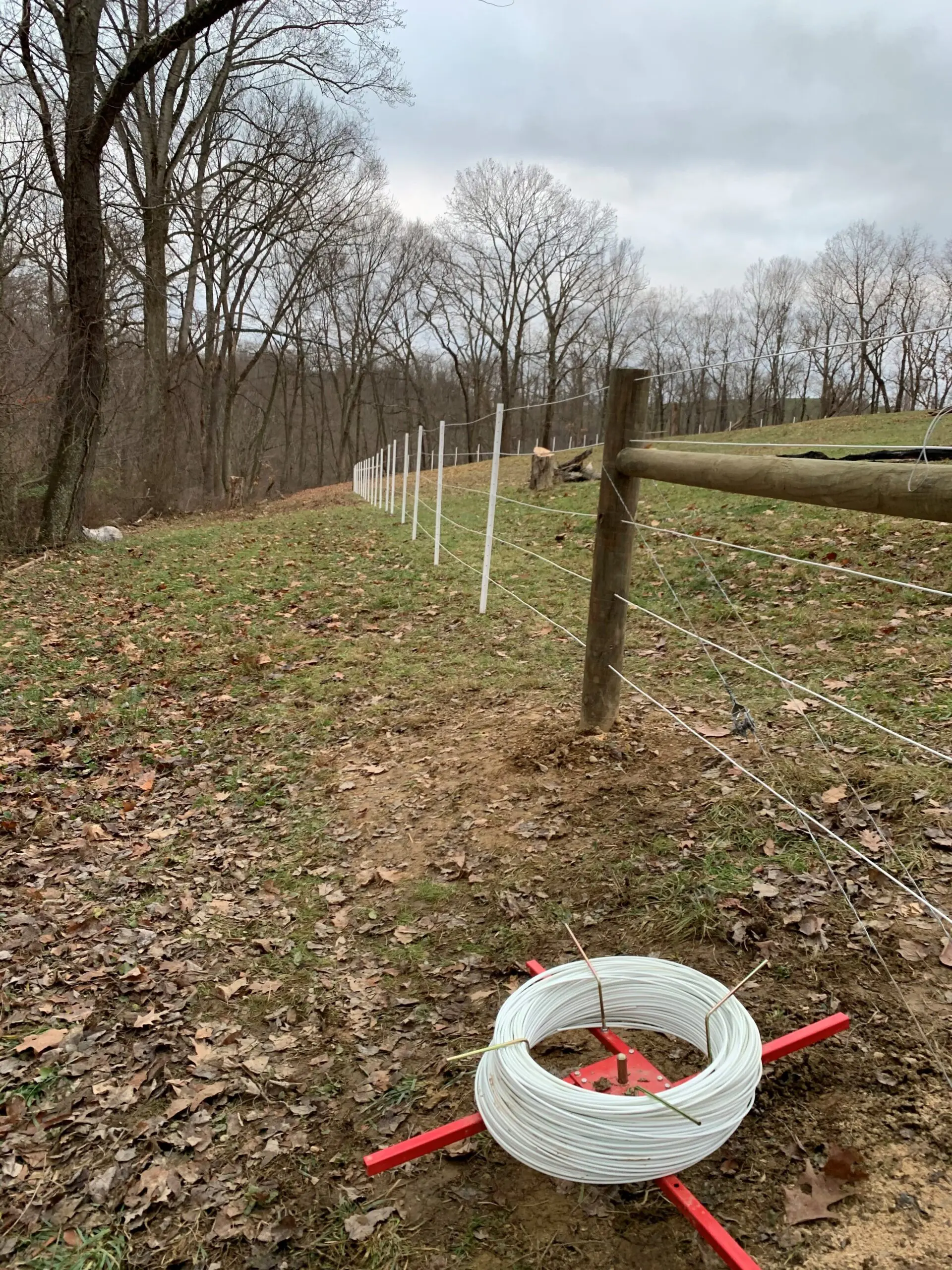 Bundle of White Wires, Fence and Stable