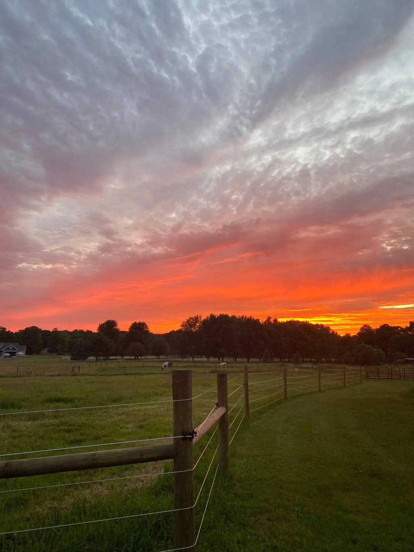 Beautiful Horizon View from Fence