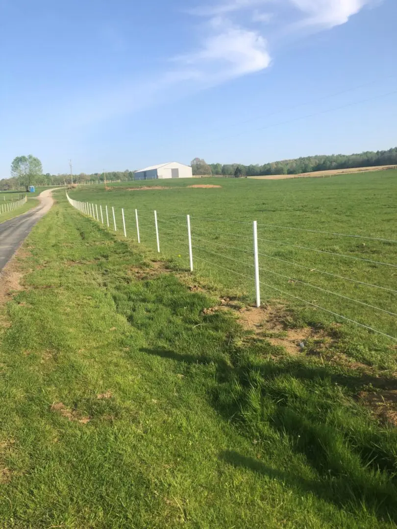 White Fence and White Stable House