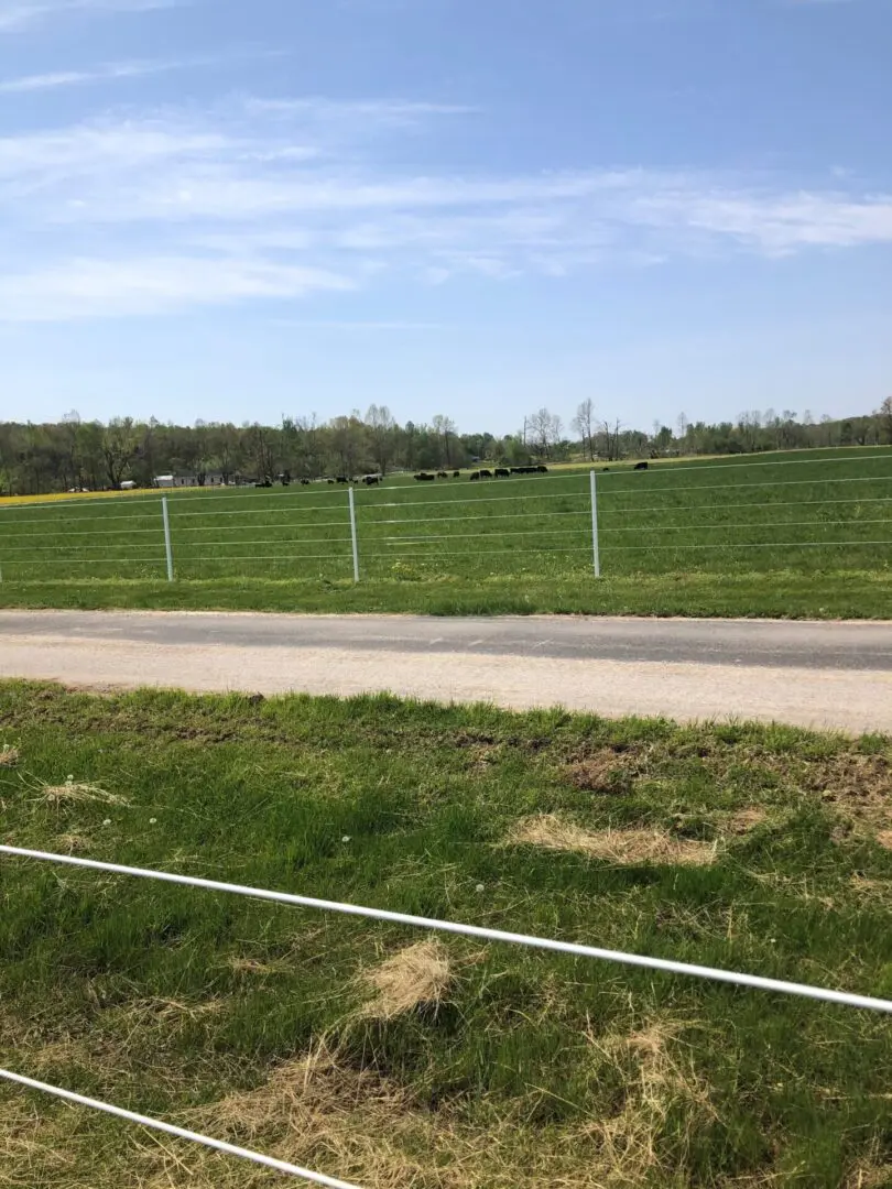 A Road with Fences on Both Sides