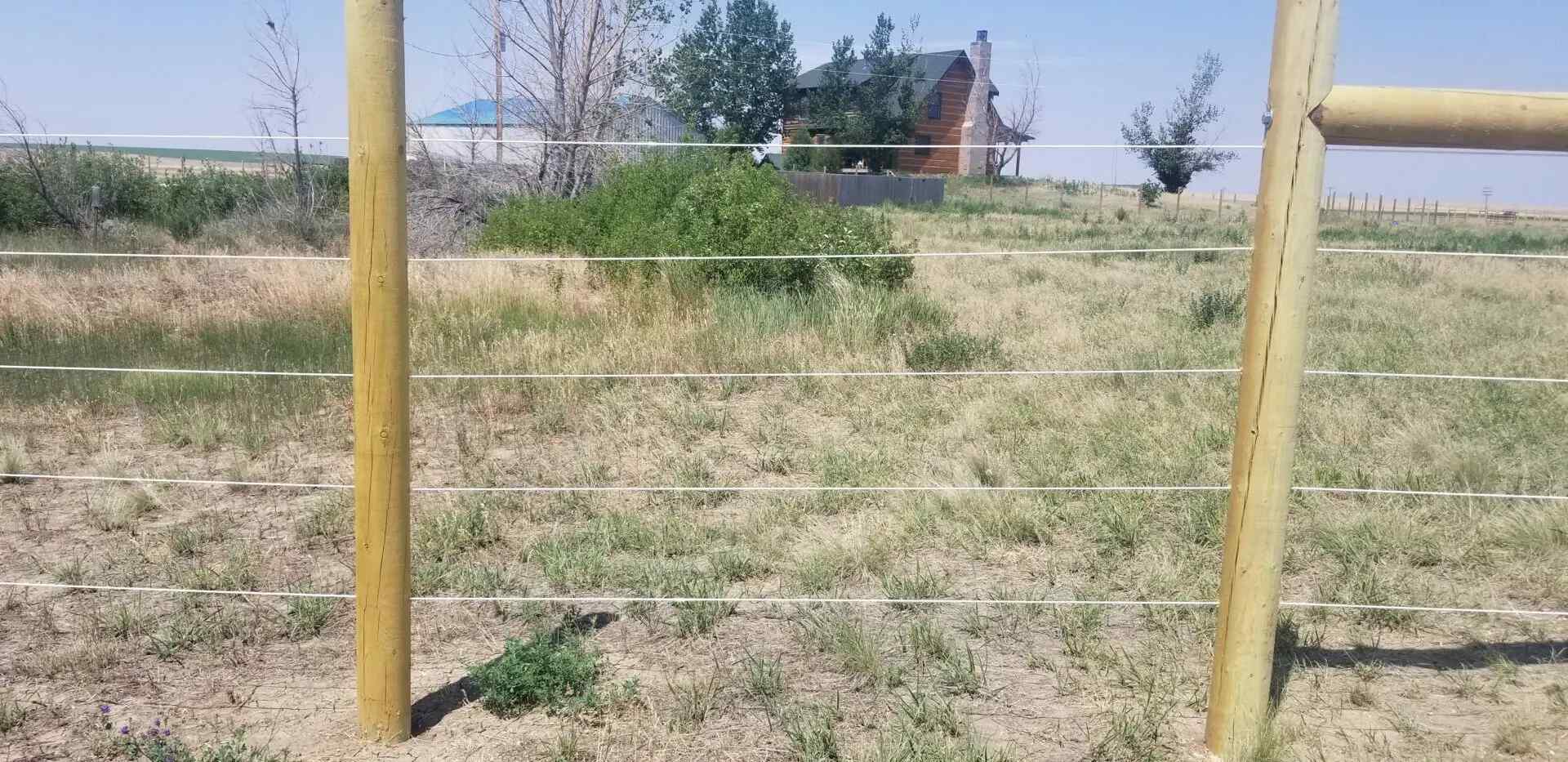 Stable, Trees and Fence Around