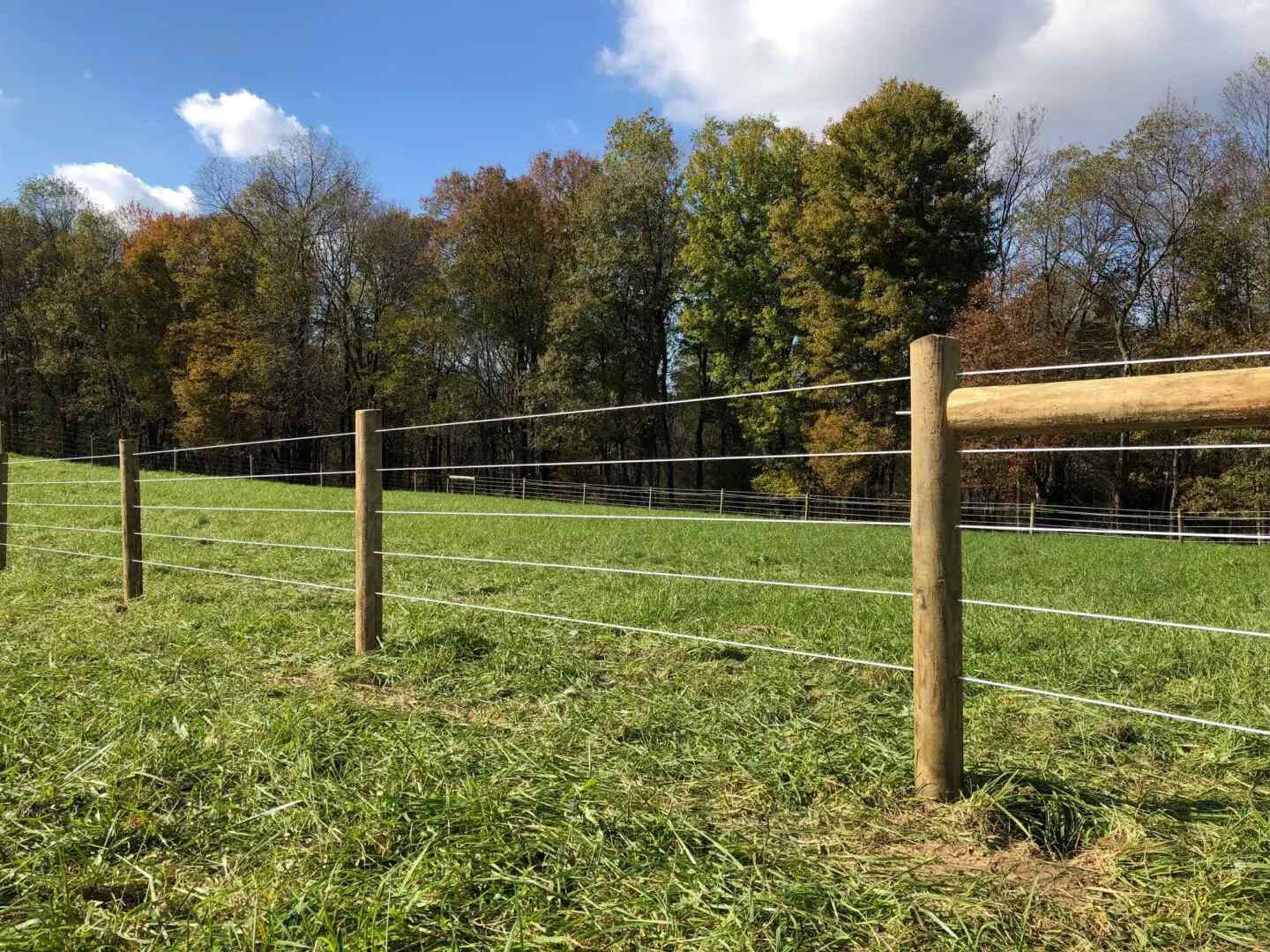 Wooden Fence and Steel Wire, Finishingline Fence