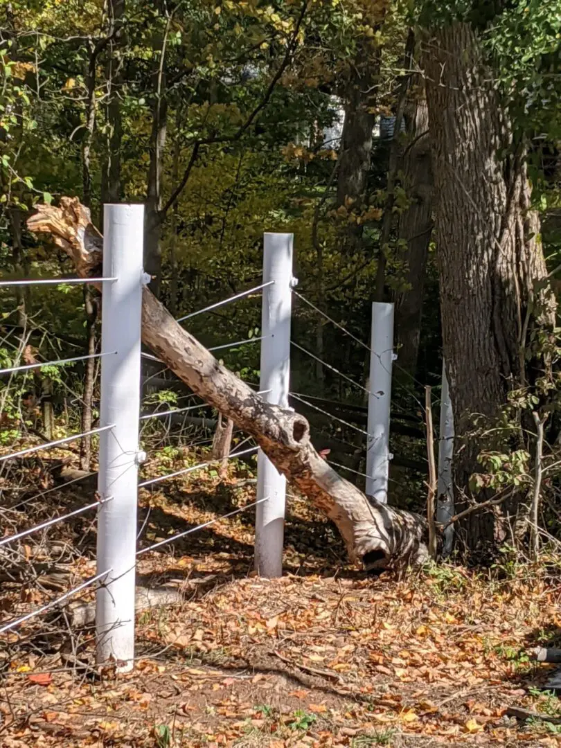 broken log leaning on a fence