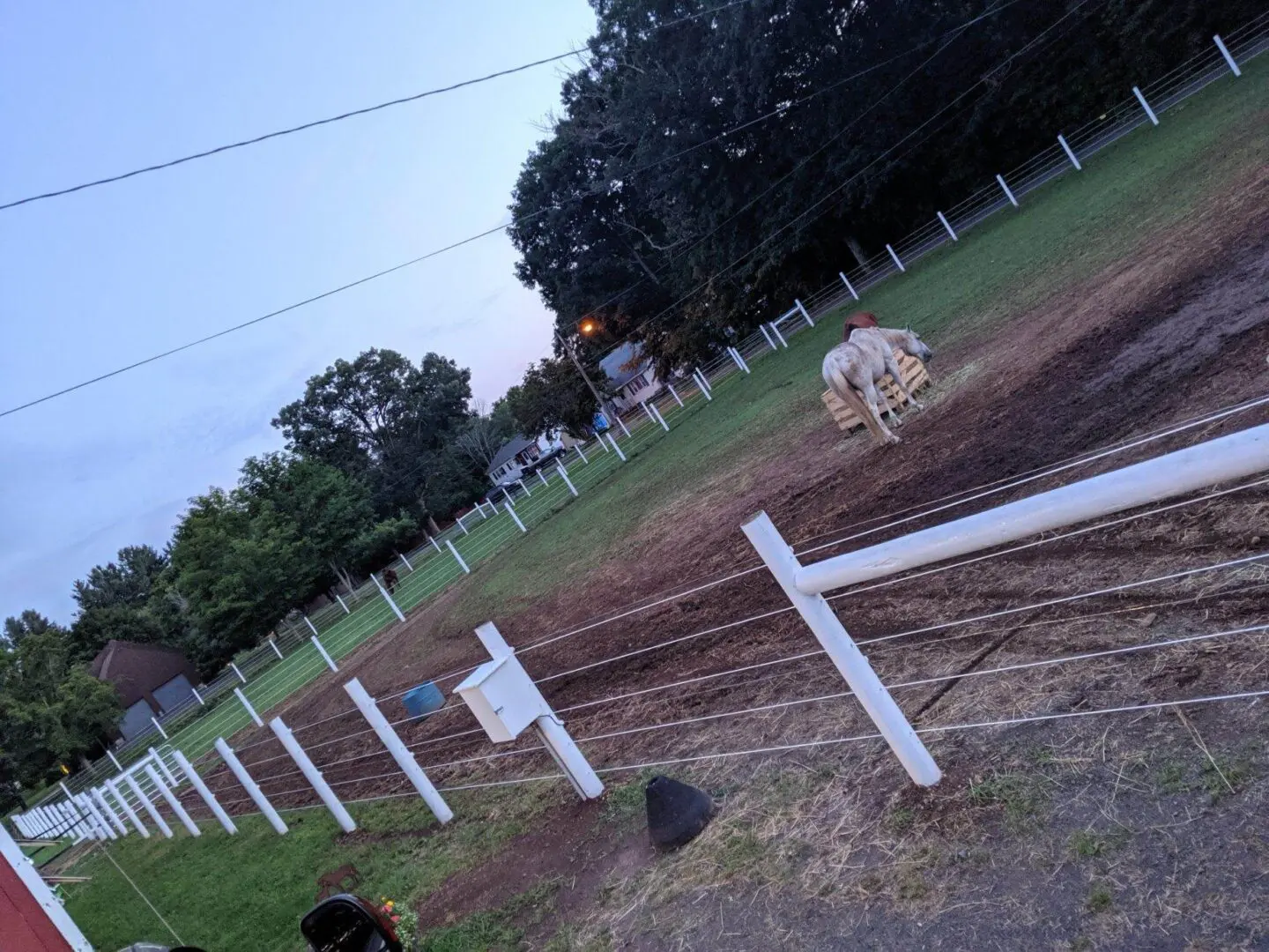 fenced area and a horse