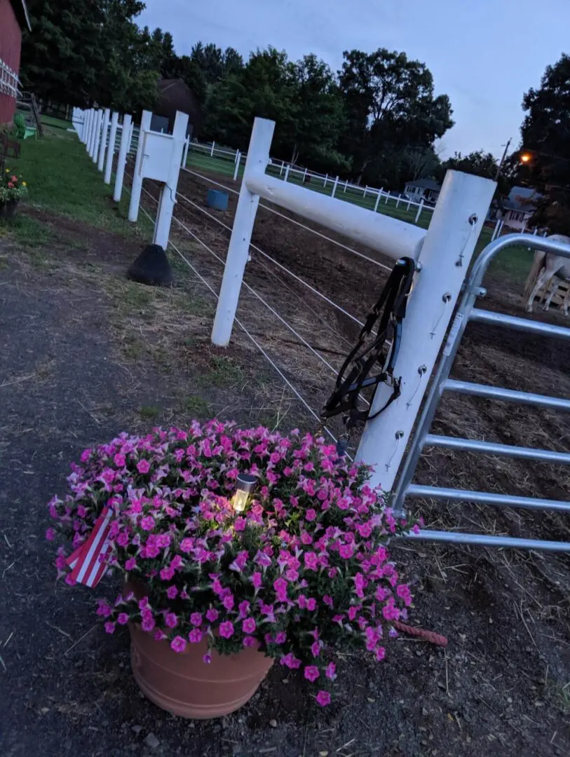 fence and a pot of flowers