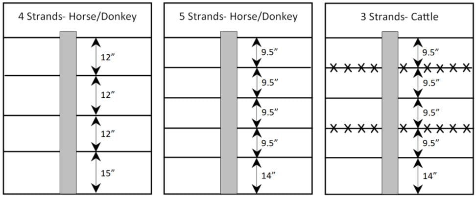 Fence height guide for horses, donkeys, cattle.