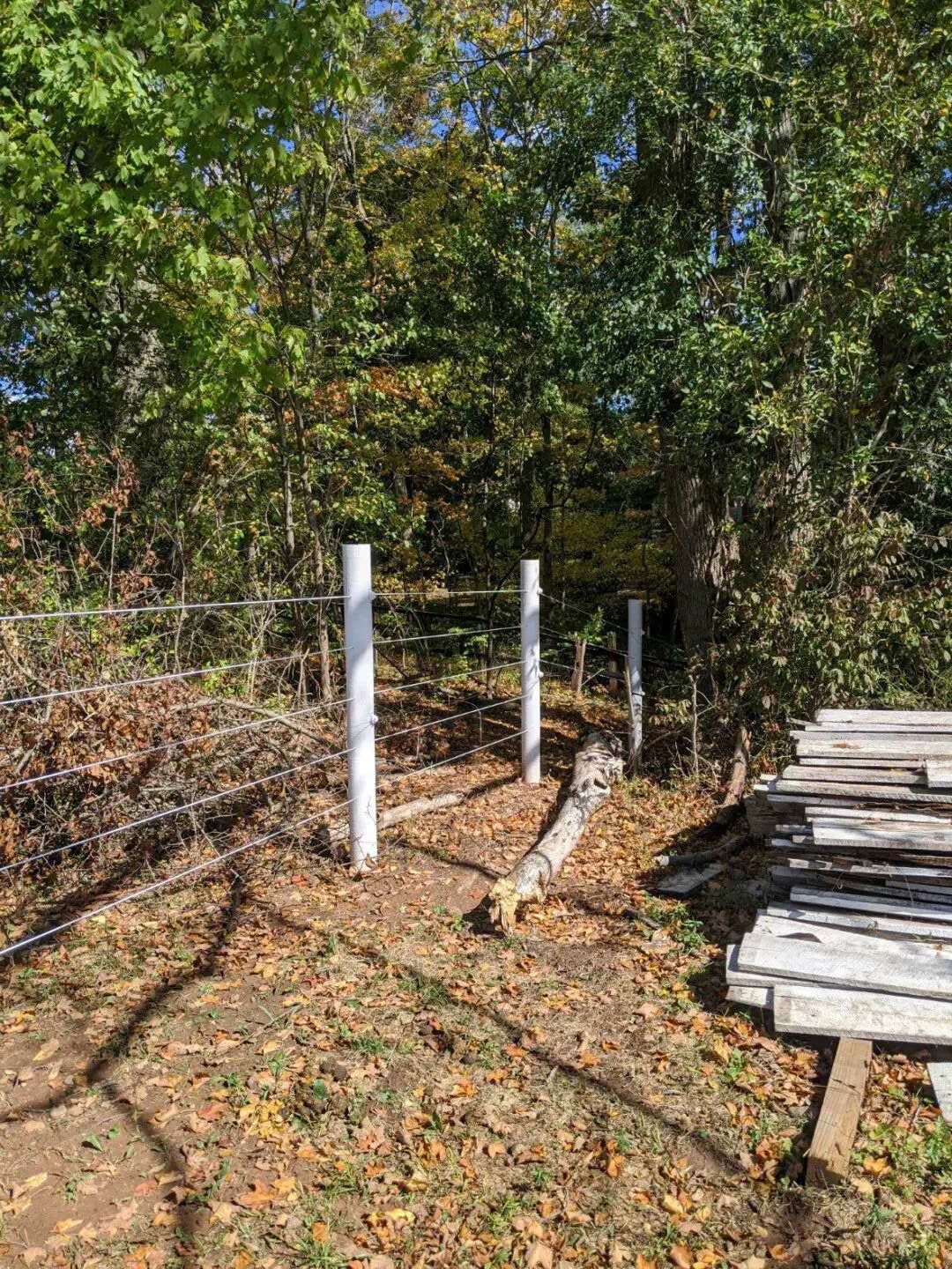 fence near the woods